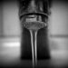 water tap, water, bath-686958.jpg