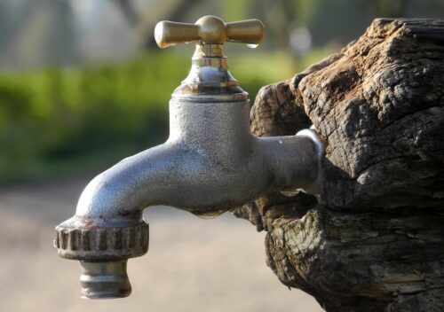 water tap, fountain, tree trunk-761100.jpg